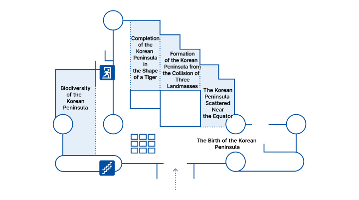 Natural History Hall Map